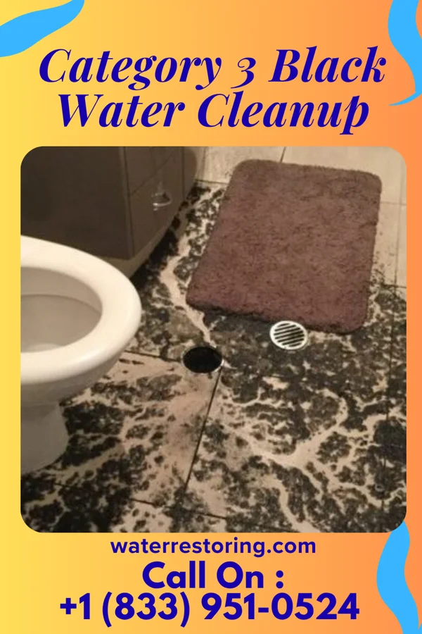 Category 3 Black Water Cleanup in Newman Grove, NE