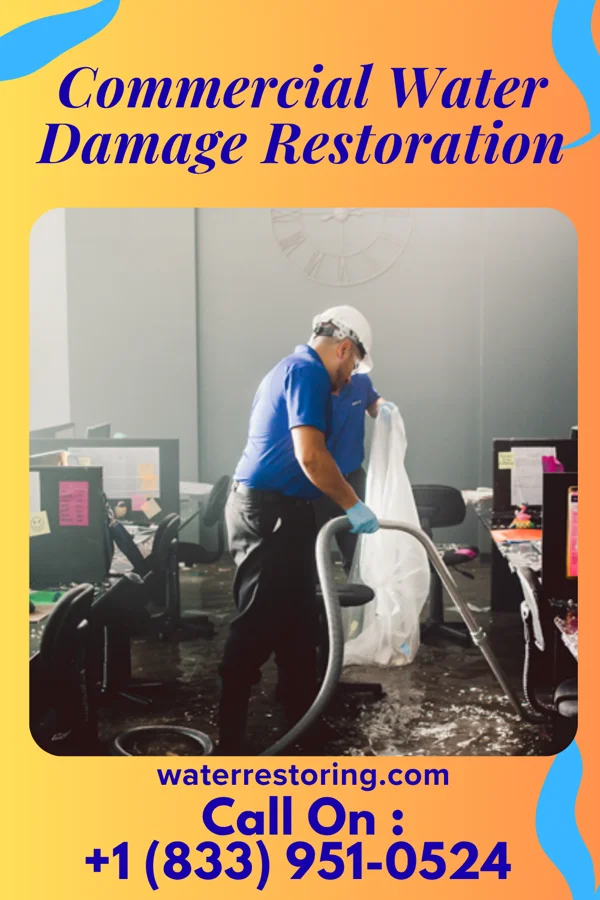 Commercial Water Damage Restoration in Newman Grove, NE