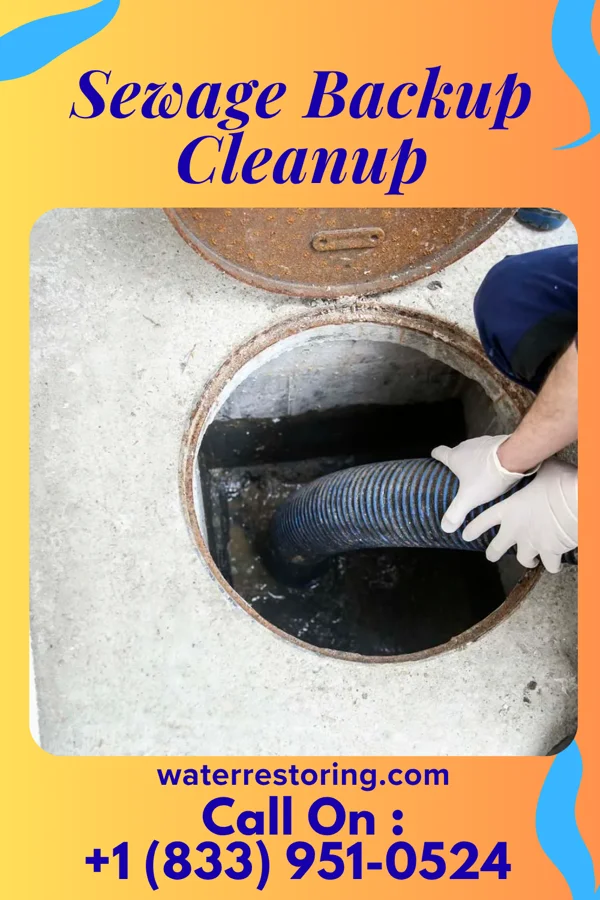 Sewage Backup Cleanup in Newman Grove, NE